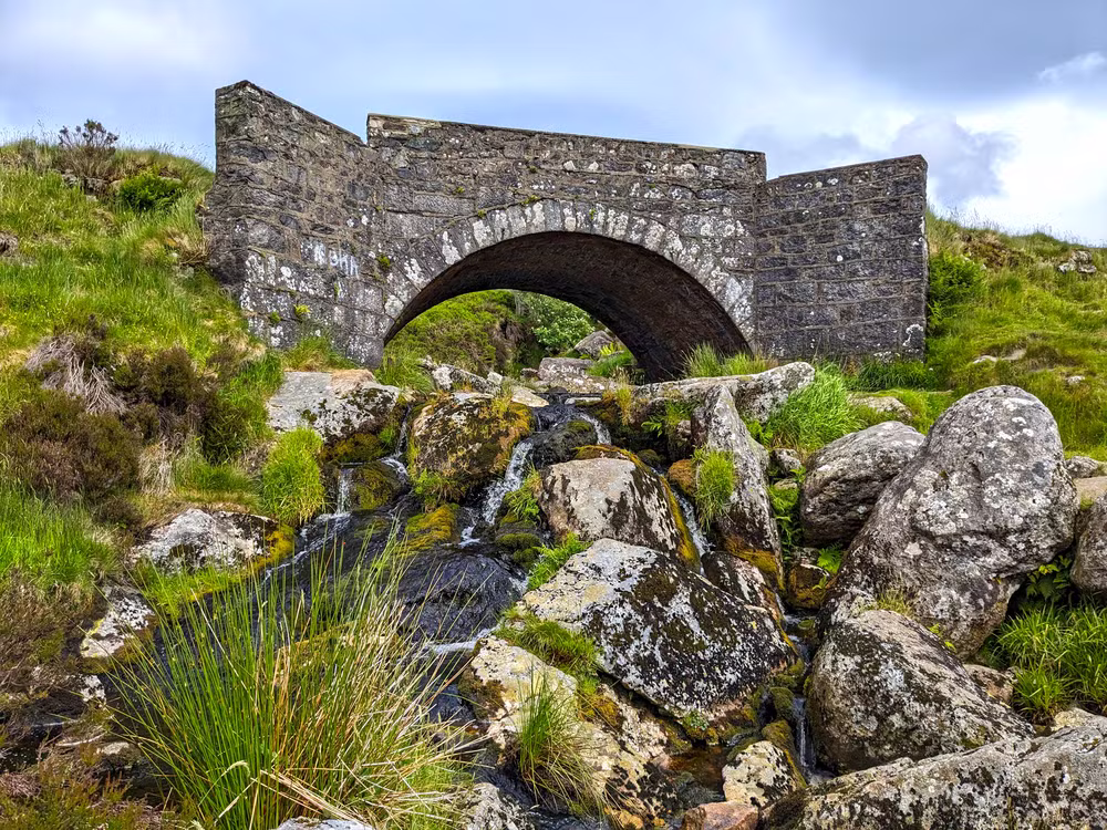 Sally Gap, Ireland, June 2024, Edited