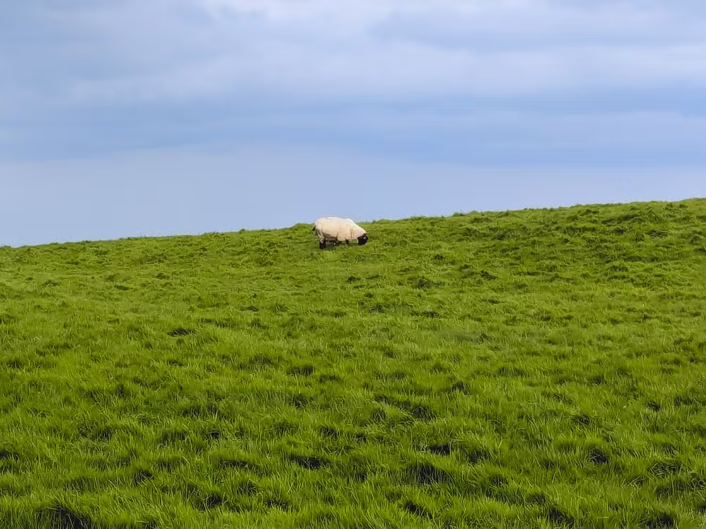 Cliffs of Moher, Ireland, June 2024, Edited