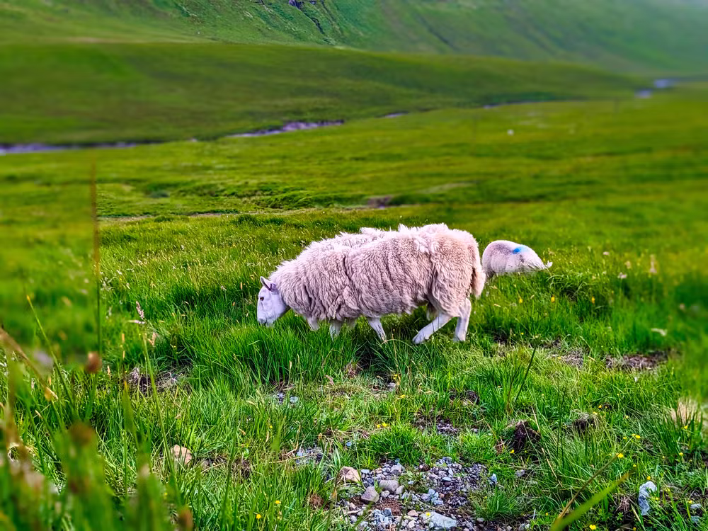 Isle of Skye, Scotland, June 2023, Edited